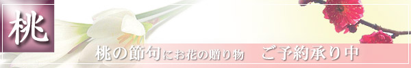 桃の節句にお花の贈り物 ご予約承り中!