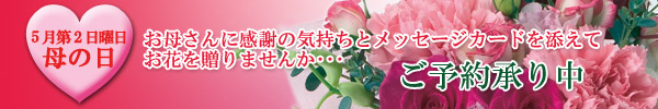 母の日に、お花の贈り物 ご予約承り中!